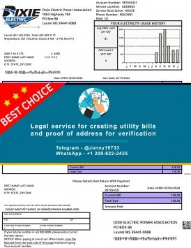 Mississipi Dixie Electric utility bill Sample Fake utility bill